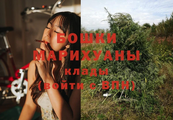 амф Осташков