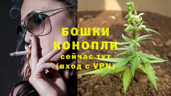 сатива Абдулино