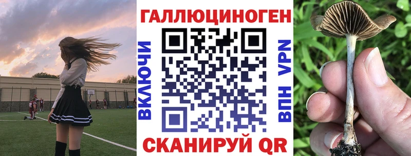 Псилоцибиновые грибы прущие грибы ссылка на мегу зеркало Анапа