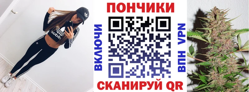 Каннабис OG Kush  Анапа 
